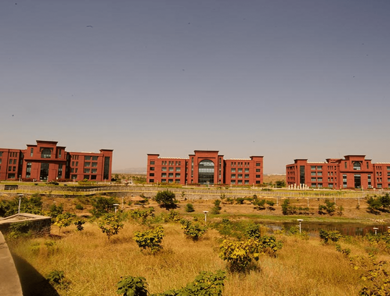 syntel-04-large-mscpl